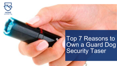 Top 7 Reasons to Own a Guard Dog Security Taser
