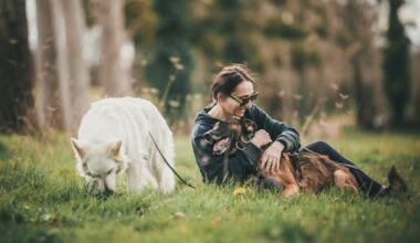 expert dog training tips for protection