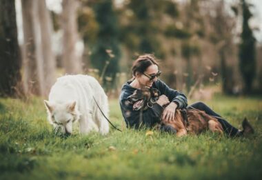 expert dog training tips for protection