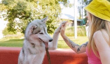 best Dog breeds for single women
