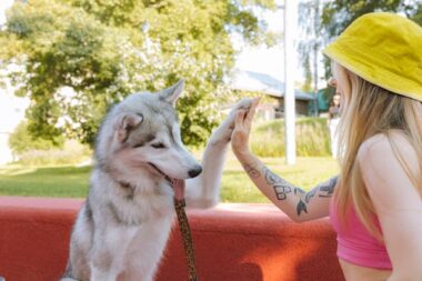 best Dog breeds for single women